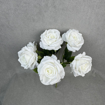 White Silk Star Moon Rose Bush - 7 Heads