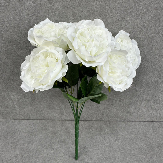 White Silk Austin Rose Bush - 7 Heads