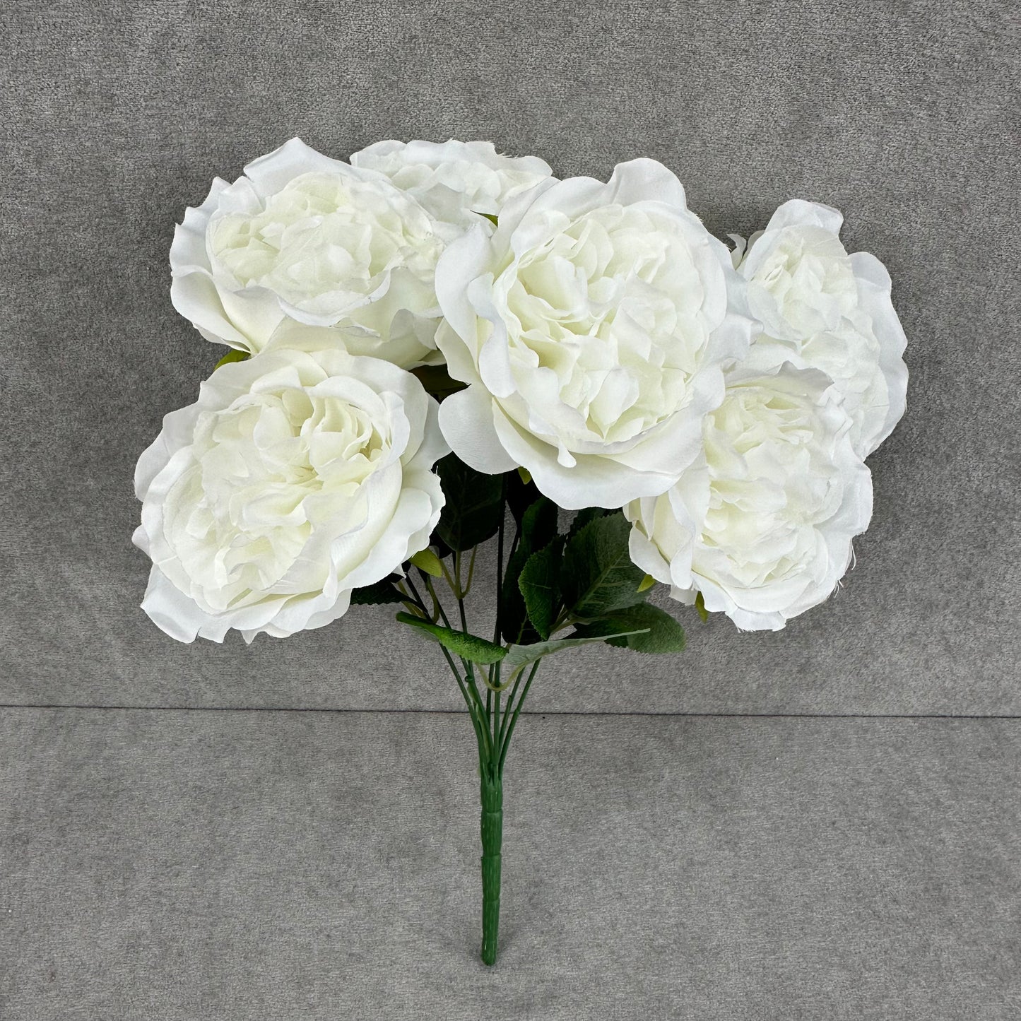 White Silk Austin Rose Bush - 7 Heads