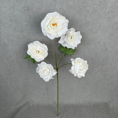 White Silk Princess Peony Bush - 5 Heads