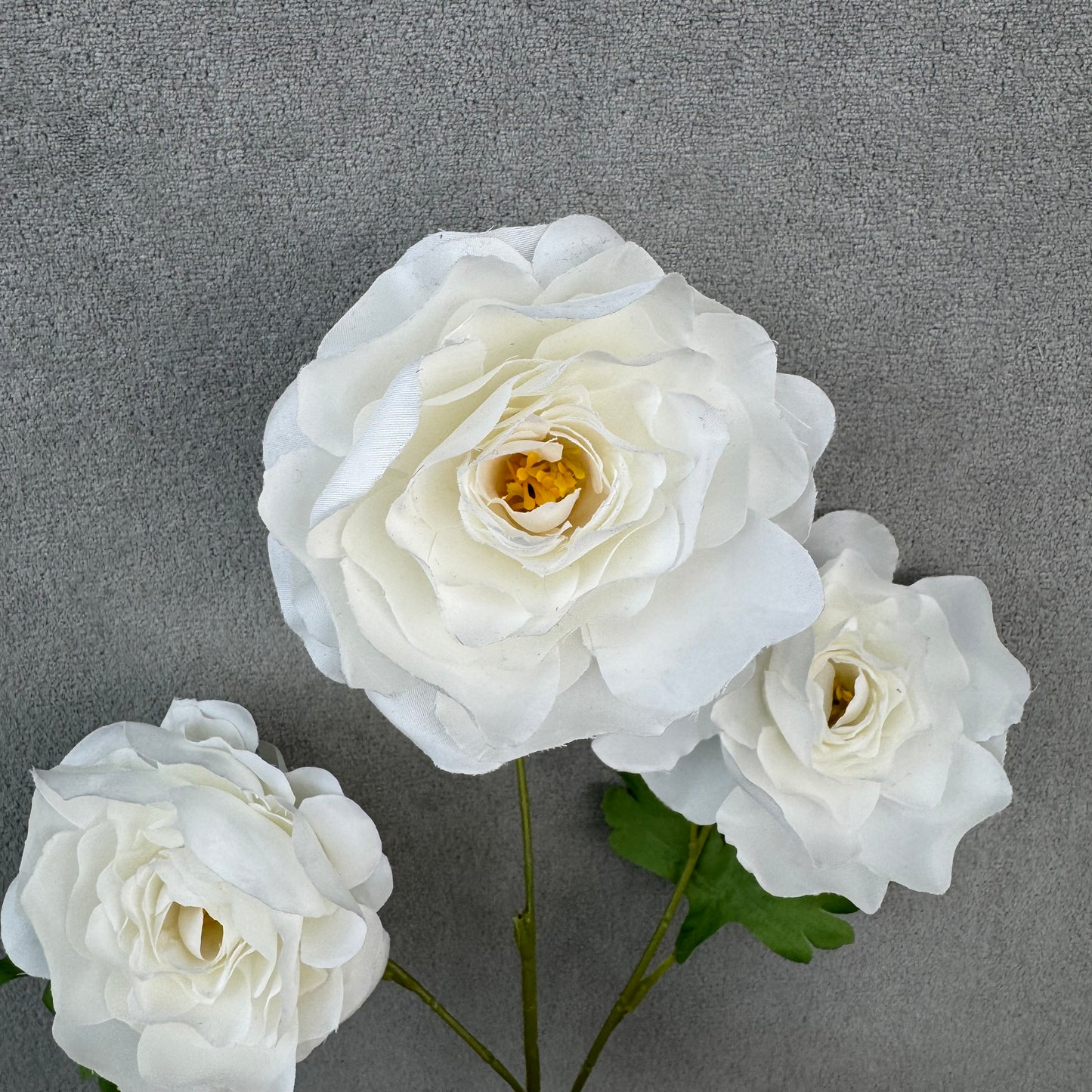 White Silk Princess Peony Bush - 5 Heads