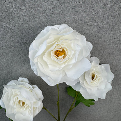 White Silk Princess Peony Bush - 5 Heads