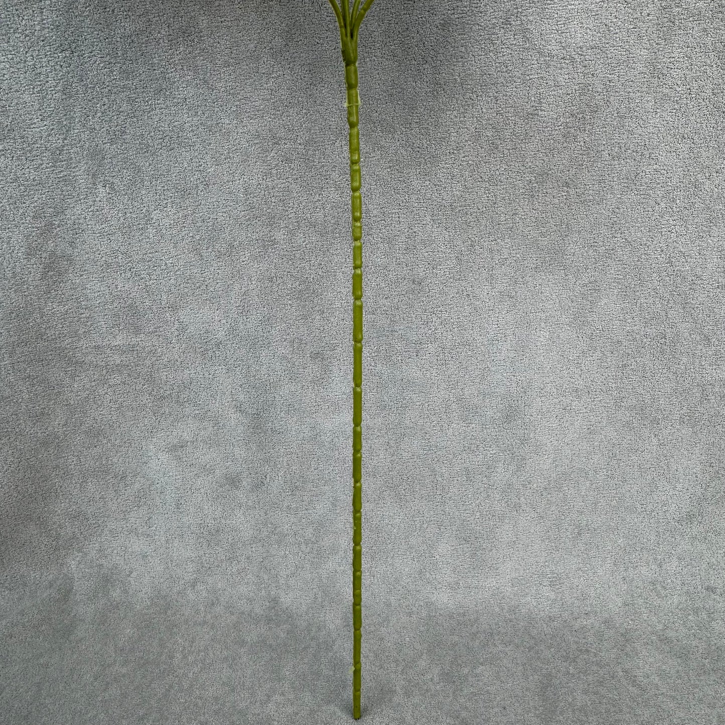 White Silk Princess Peony Bush - 5 Heads