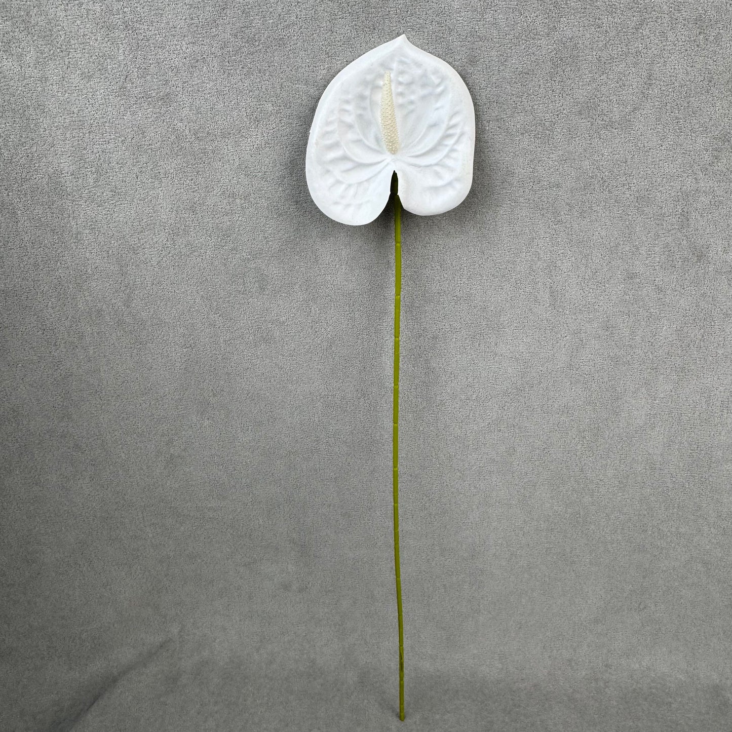 White Real Touch Anthurium Stem