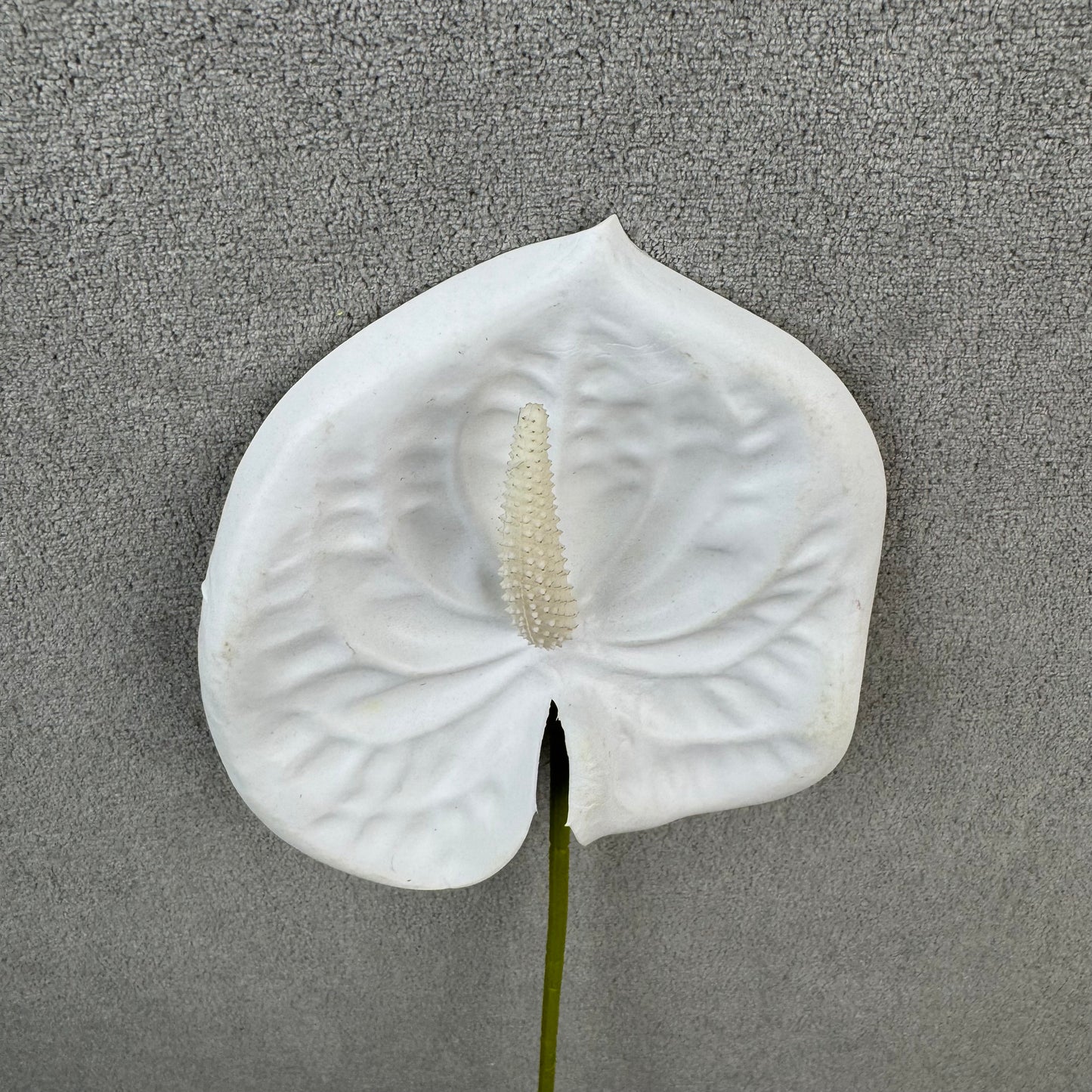 White Real Touch Anthurium Stem
