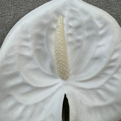 White Real Touch Anthurium Stem