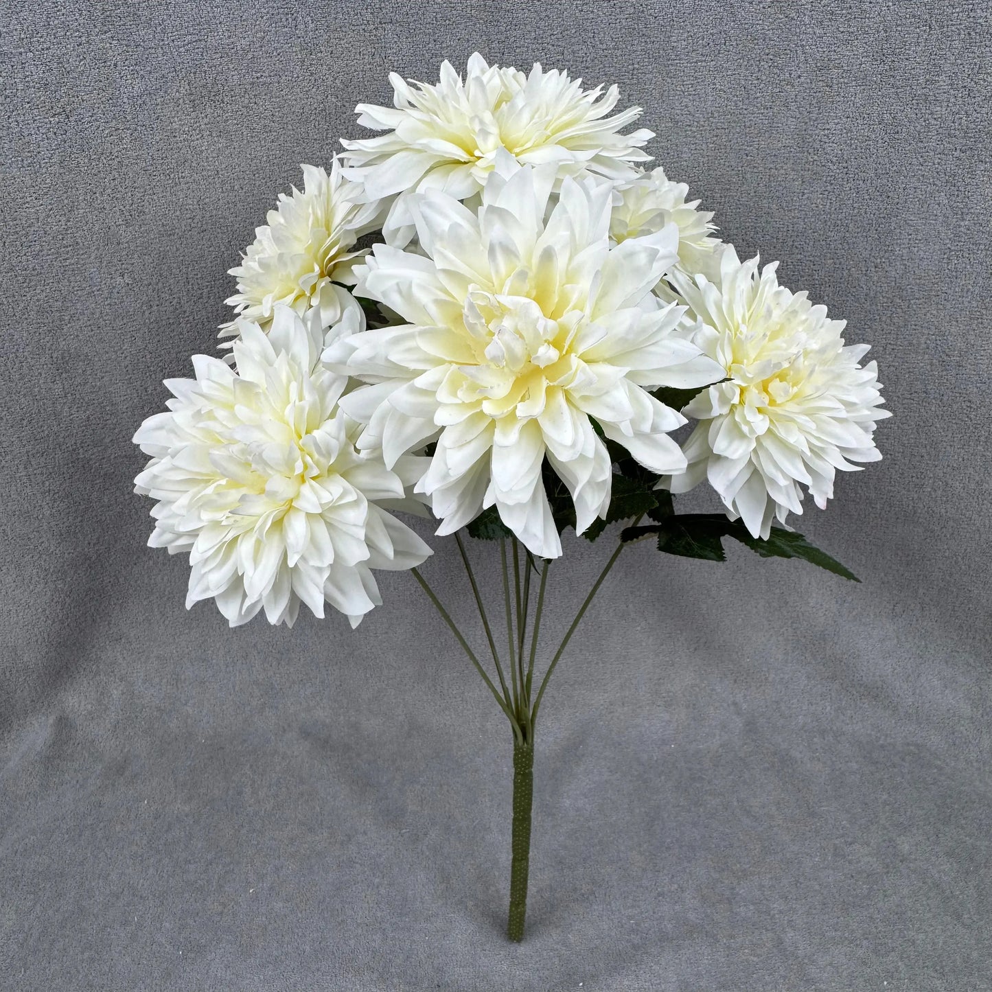Ivory Silk Dahlia Bush - 7 Heads RosesHQ.com