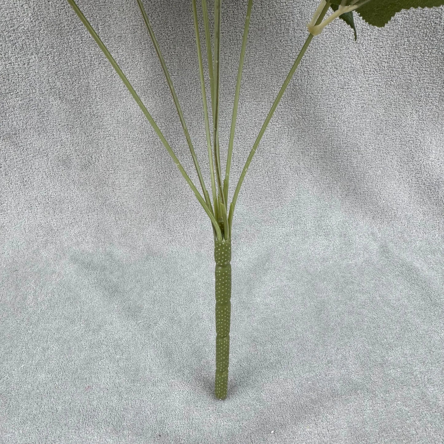 Ivory Silk Dahlia Bush - 7 Heads RosesHQ.com