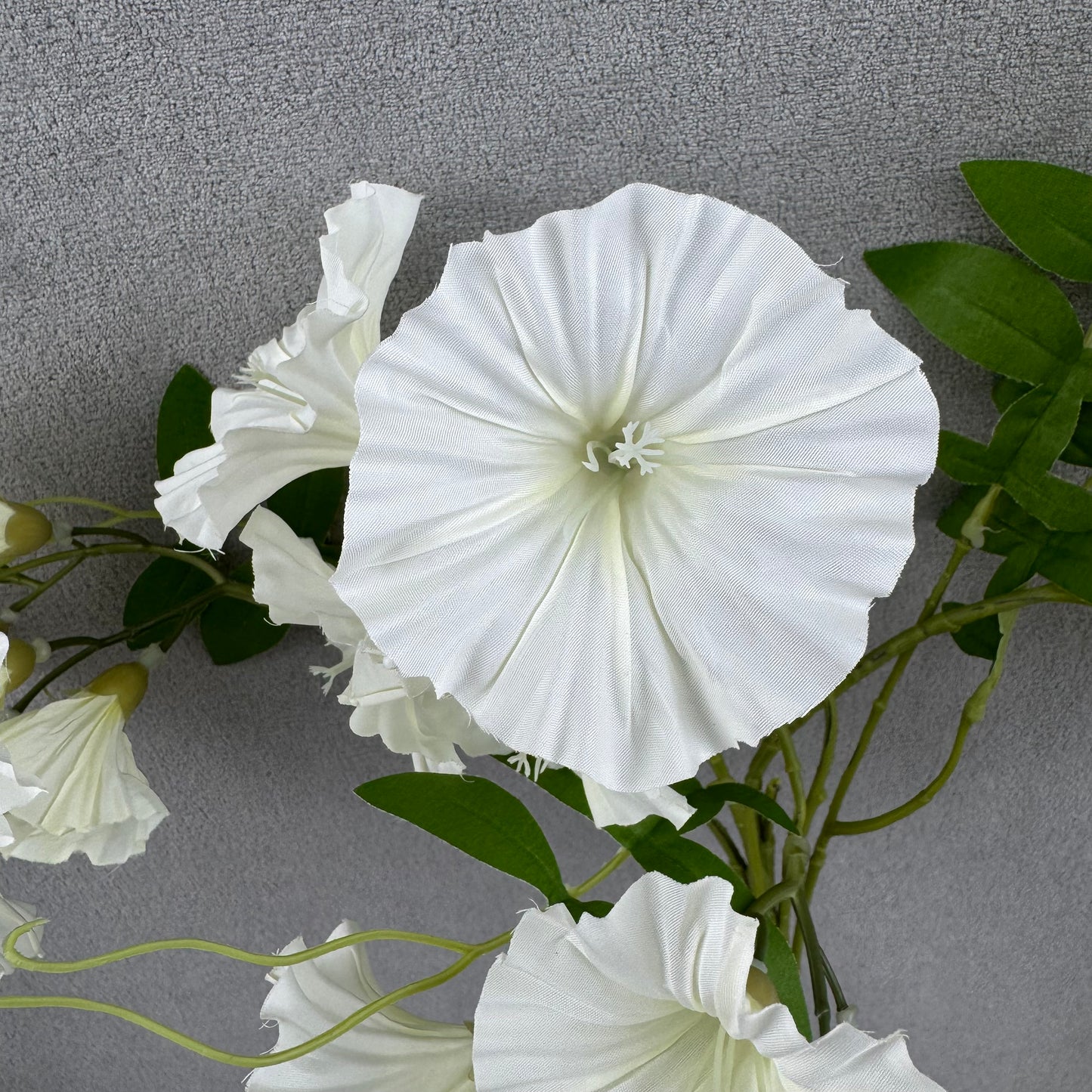 Ivory Silk Morning Glory Spray