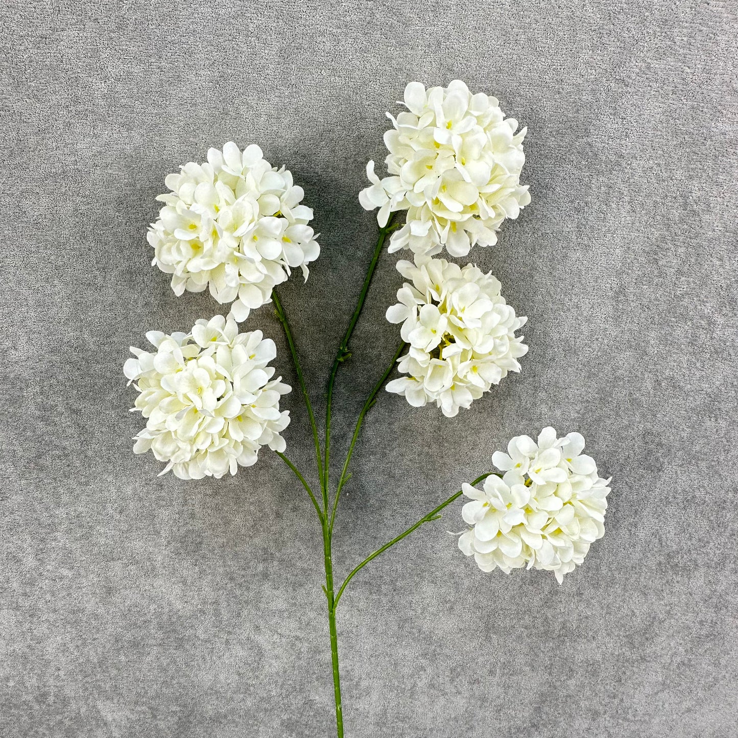 Ivory Silk Candy Hydrangea Bush - 5 Heads