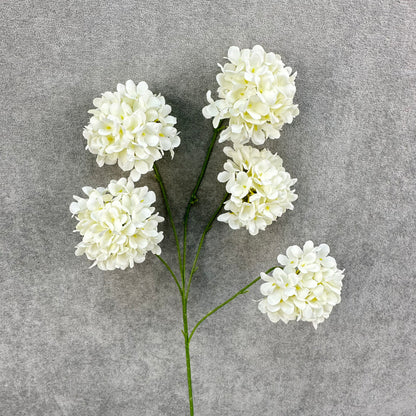 Ivory Silk Candy Hydrangea Bush - 5 Heads