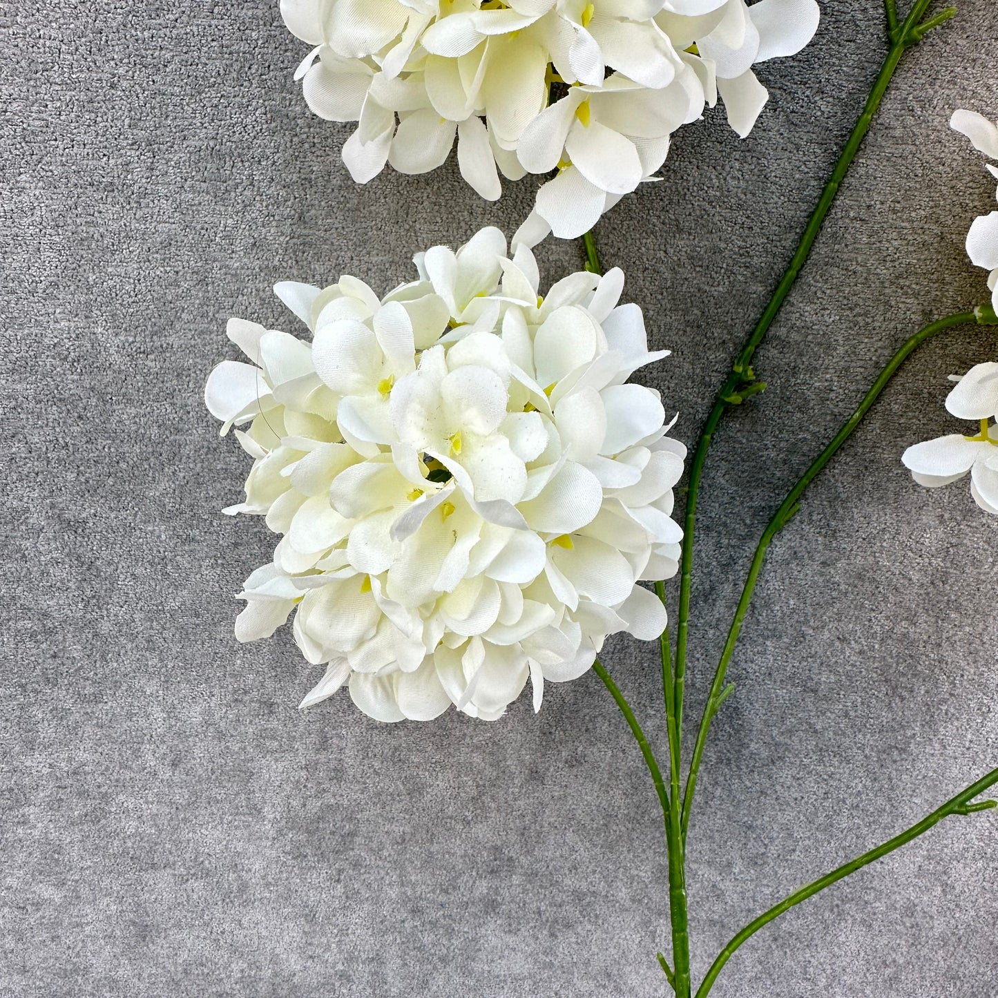 Ivory Silk Candy Hydrangea Bush - 5 Heads