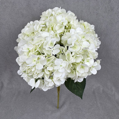 Ivory Silk French Hydrangea Bush - 5 Heads