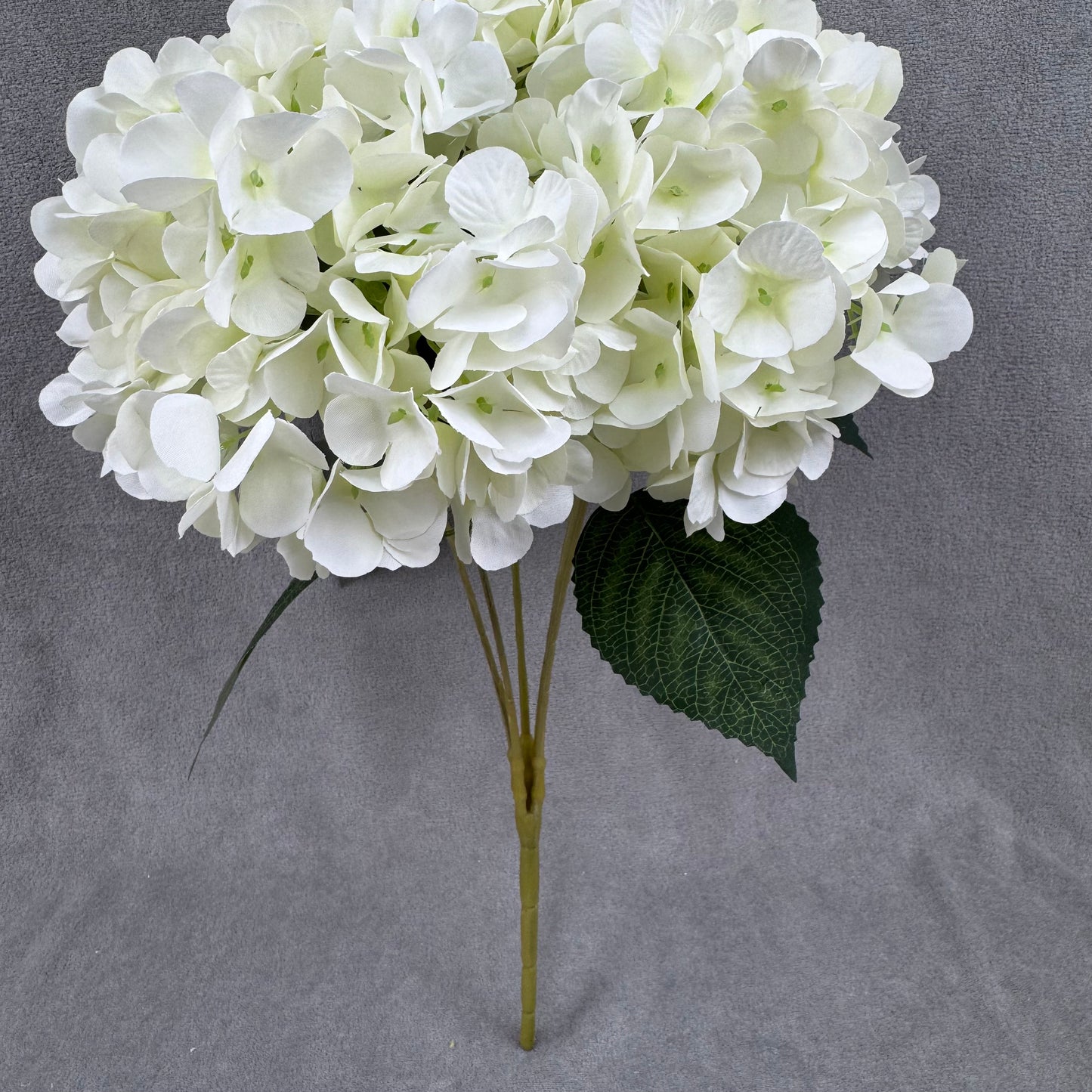 Ivory Silk French Hydrangea Bush - 5 Heads