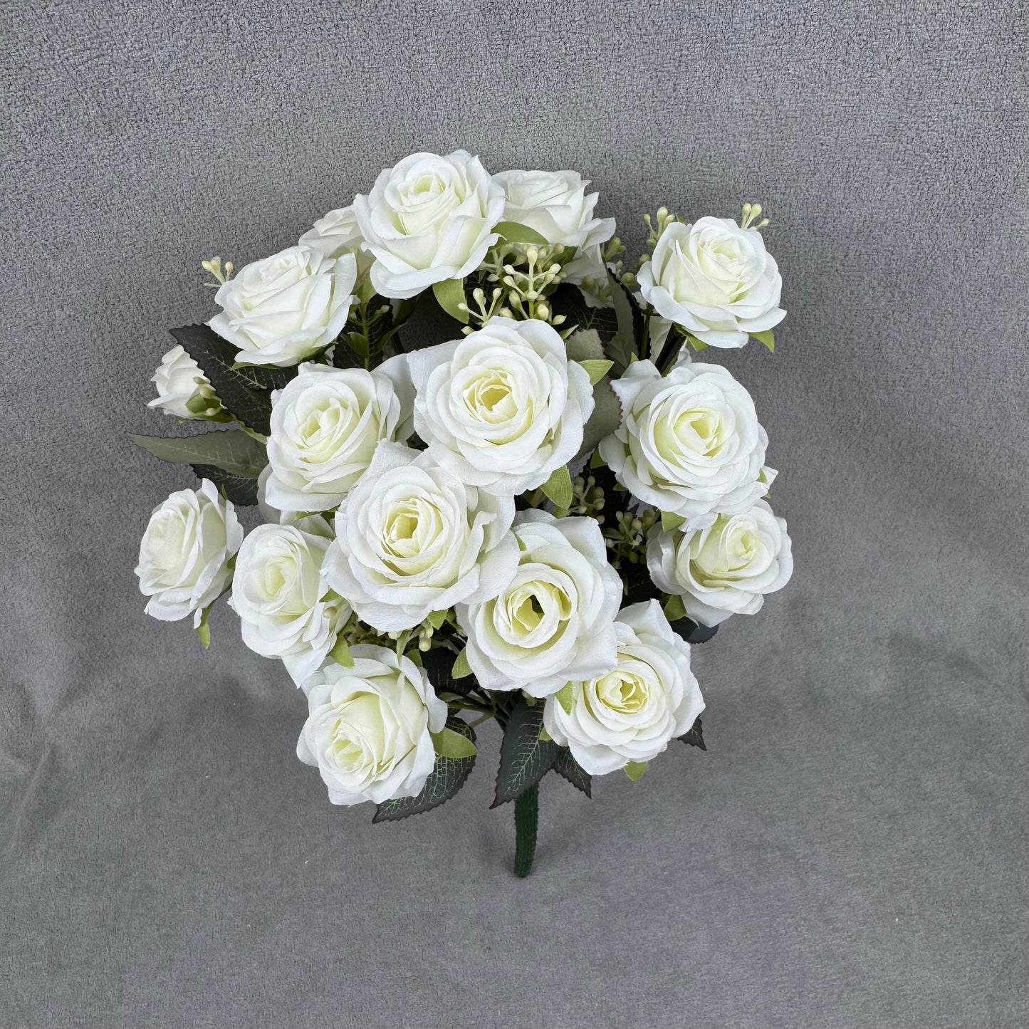 Ivory Silk Happiness Rose Bush - 24 Heads