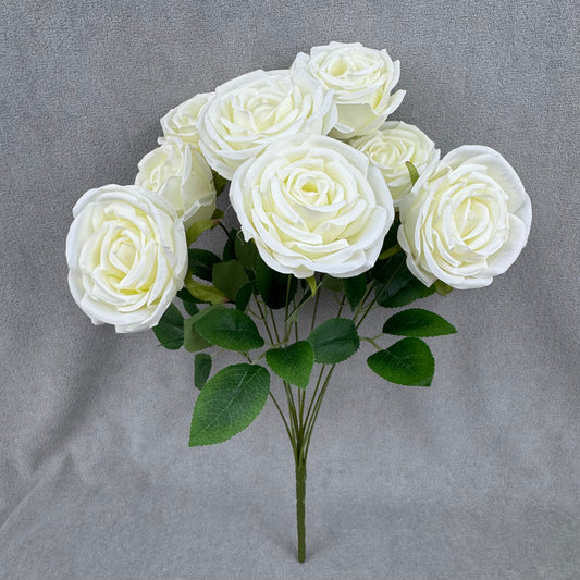 Ivory Silk Dream Empress Rose Bush - 9 Heads