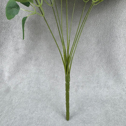 Ivory Silk Dream Empress Rose Bush - 9 Heads
