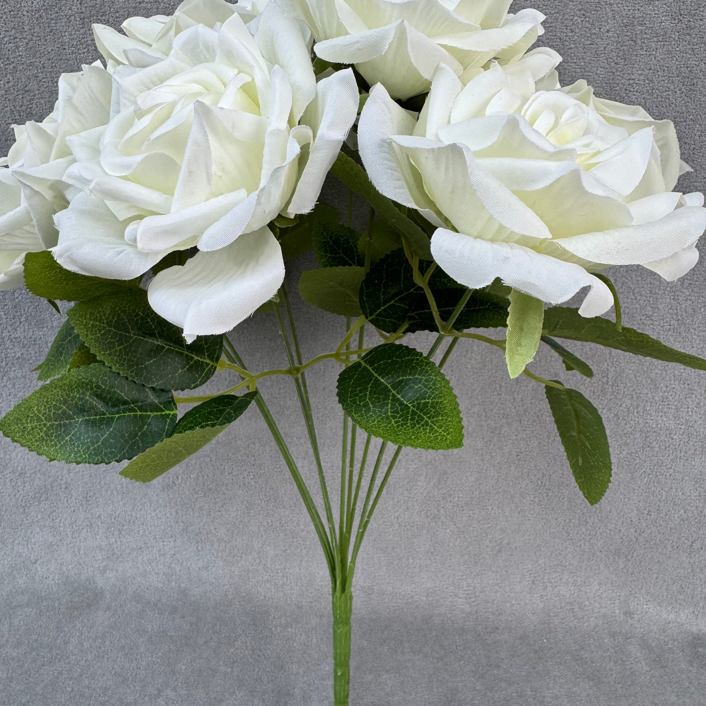 Ivory Silk Fruit Rose Bush - 9 Heads