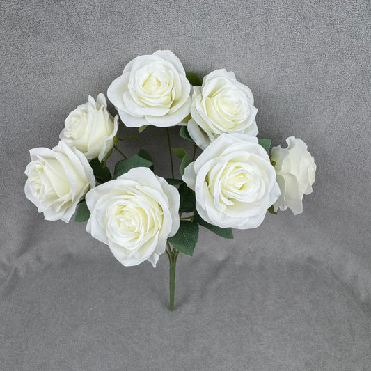 Ivory Silk Happiness Rose Bush - 7 Heads