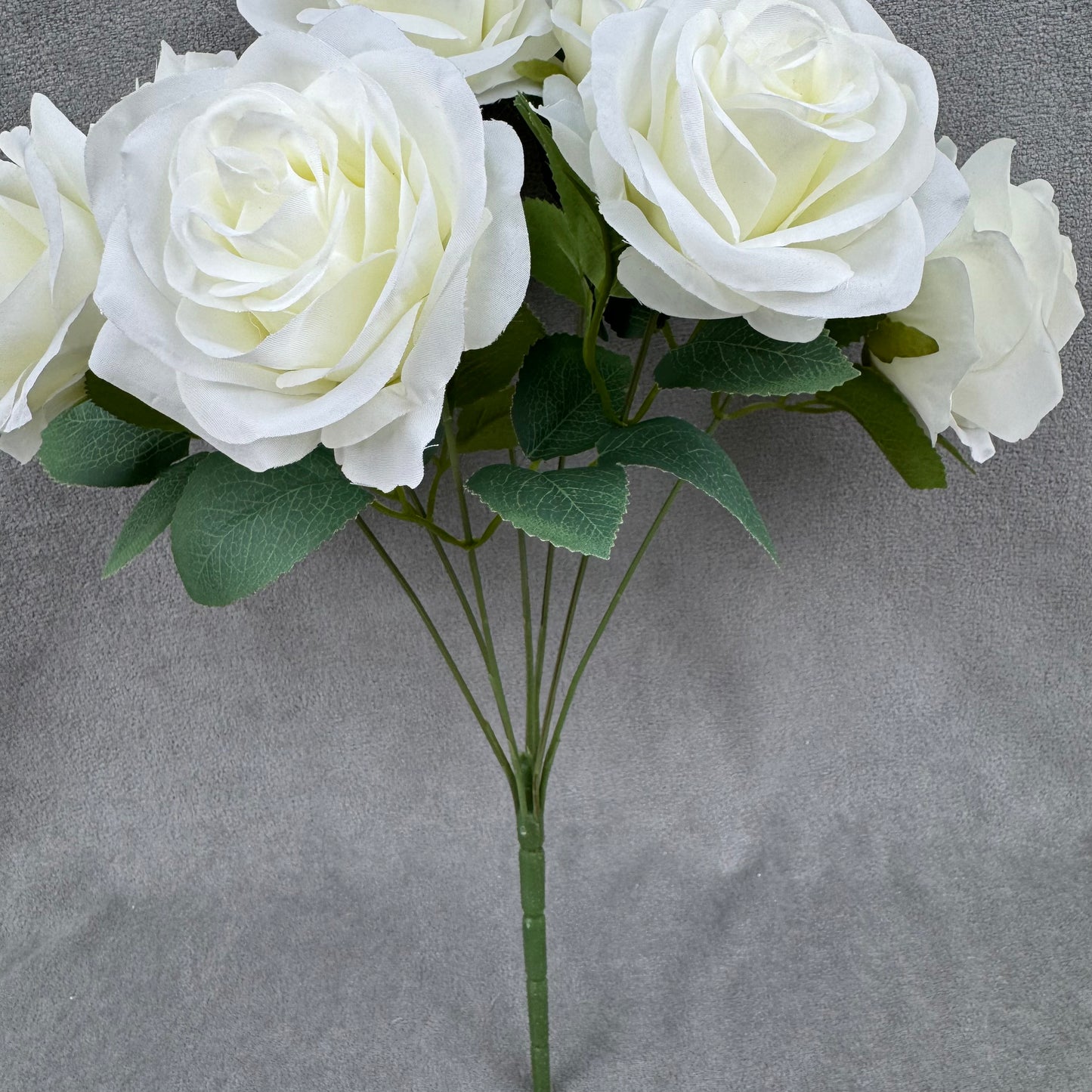 Ivory Silk Happiness Rose Bush - 7 Heads
