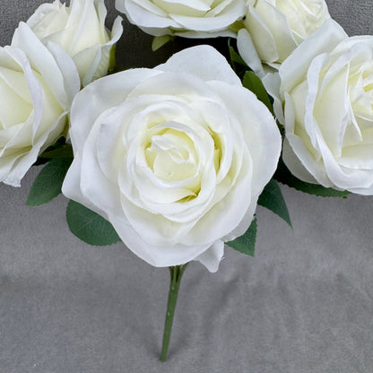 Ivory Silk Happiness Rose Bush - 7 Heads