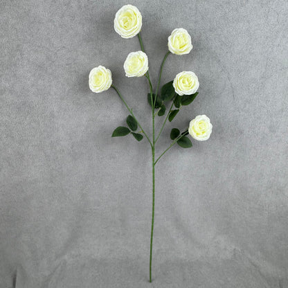 Ivory Silk Empress Rose Bush - 6 Heads