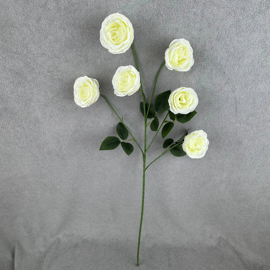 Ivory Silk Empress Rose Bush - 6 Heads RosesHQ.com