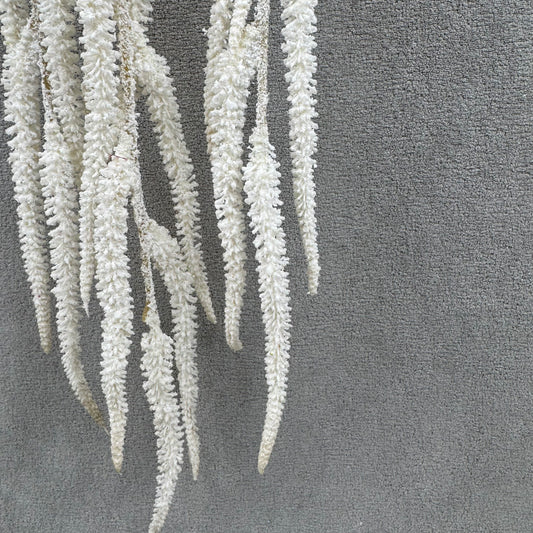 Ivory Silk Amaranthus Stem