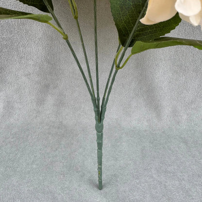 Champagne Silk French Hydrangea Bush - 5 Heads RosesHQ.com