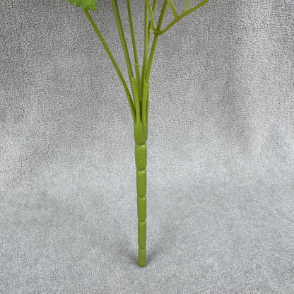 Champagne Silk Star Moon Rose Bush - 7 Heads