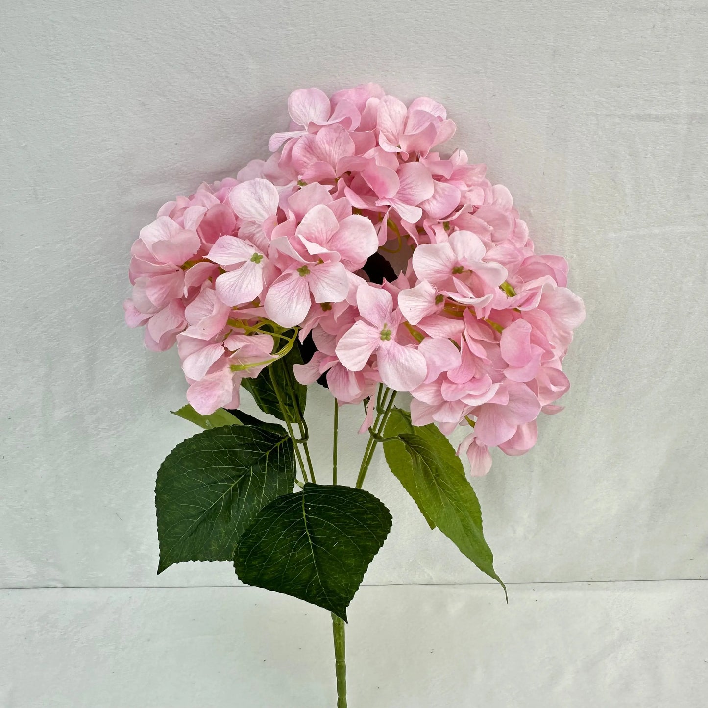 Pink Silk Print Hydrangea Bush - 5 Heads RosesHQ.com