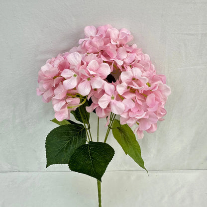 Pink Silk Print Hydrangea Bush - 5 Heads RosesHQ.com