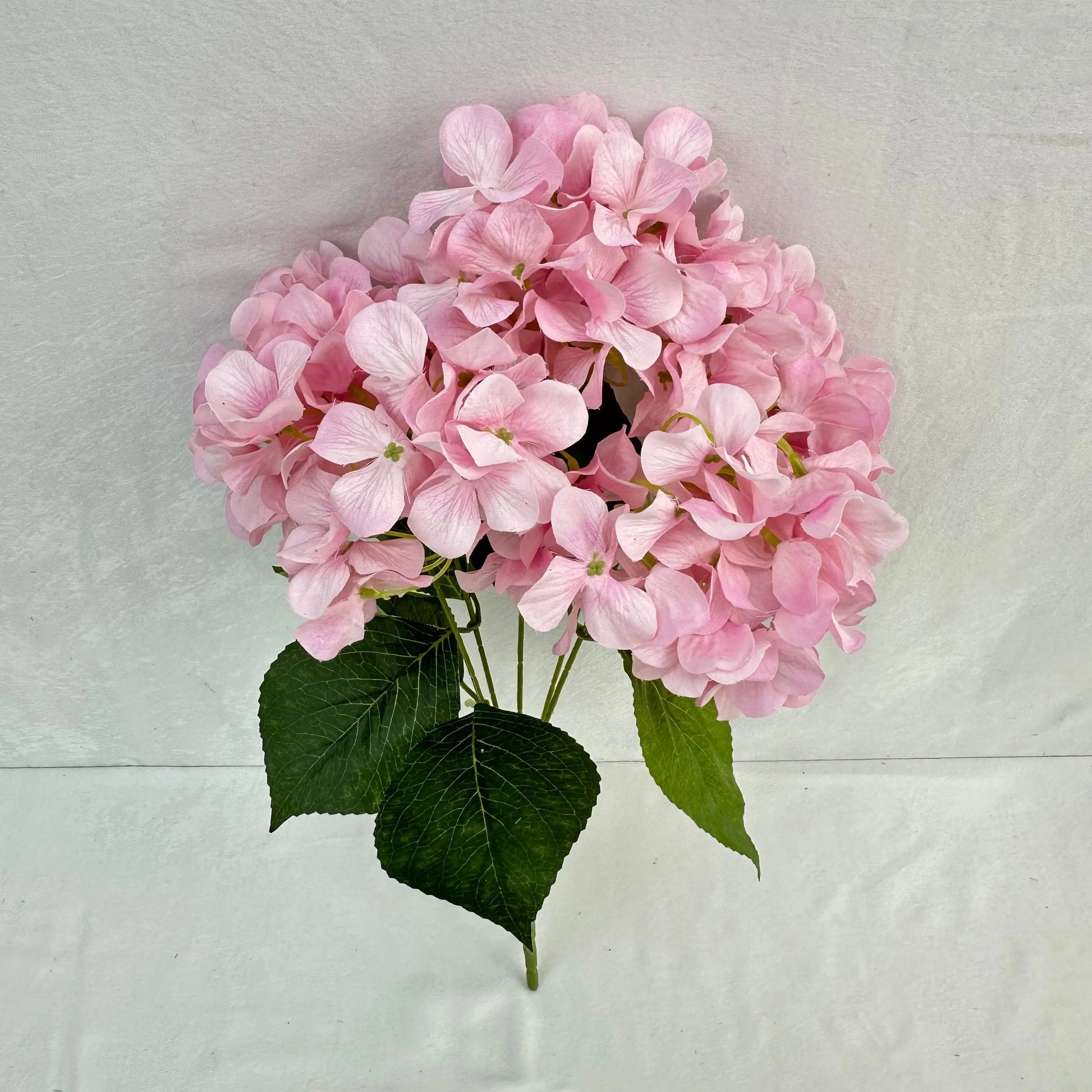 Pink Silk Print Hydrangea Bush - 5 Heads RosesHQ.com