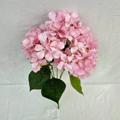 Pink Silk Print Hydrangea Bush - 5 Heads RosesHQ.com