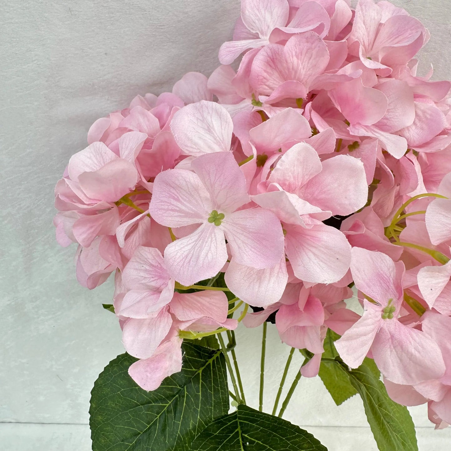Pink Silk Print Hydrangea Bush - 5 Heads RosesHQ.com