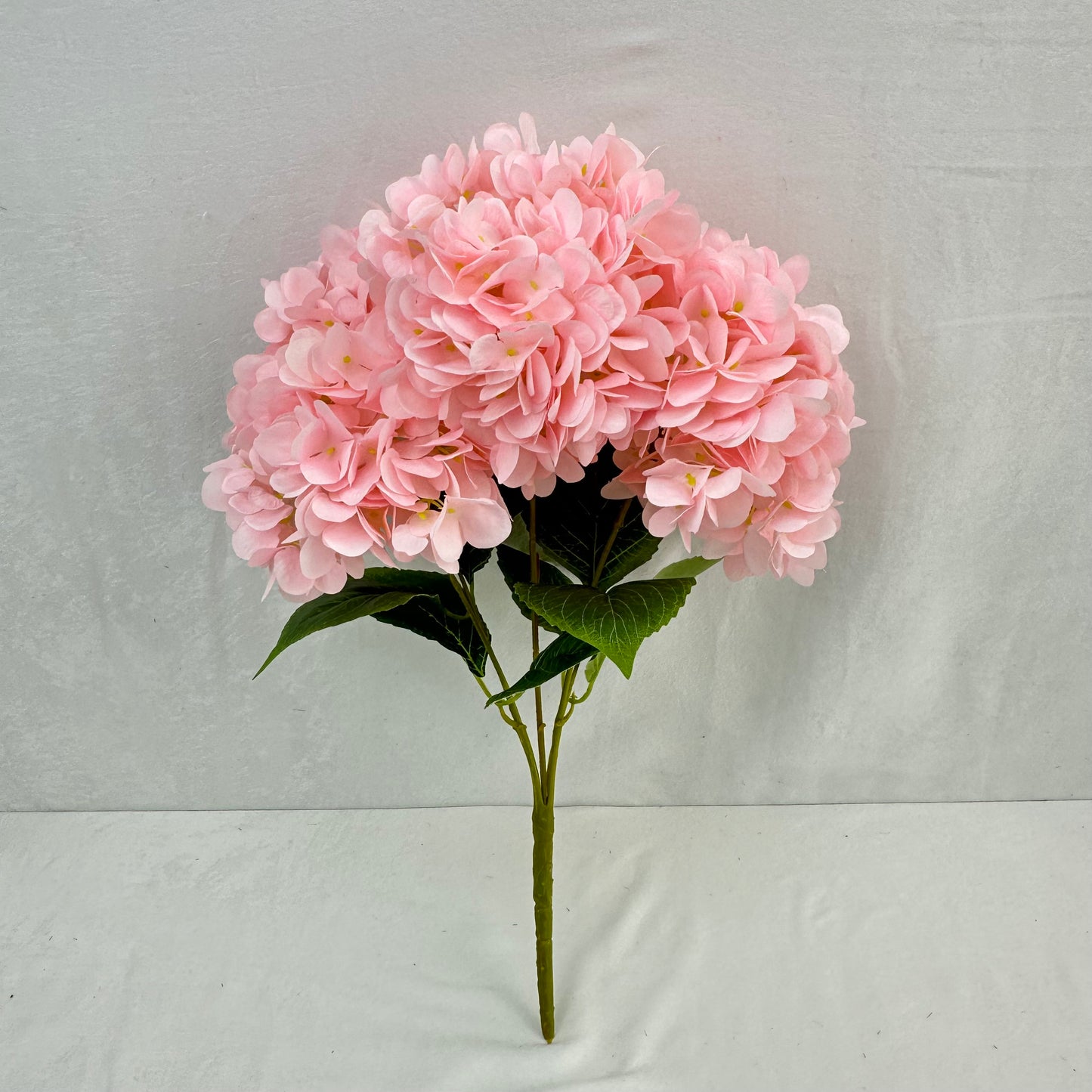 Pink Silk French Hydrangea Bush - 5 Heads