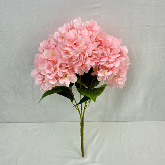Pink Silk French Hydrangea Bush - 5 Heads