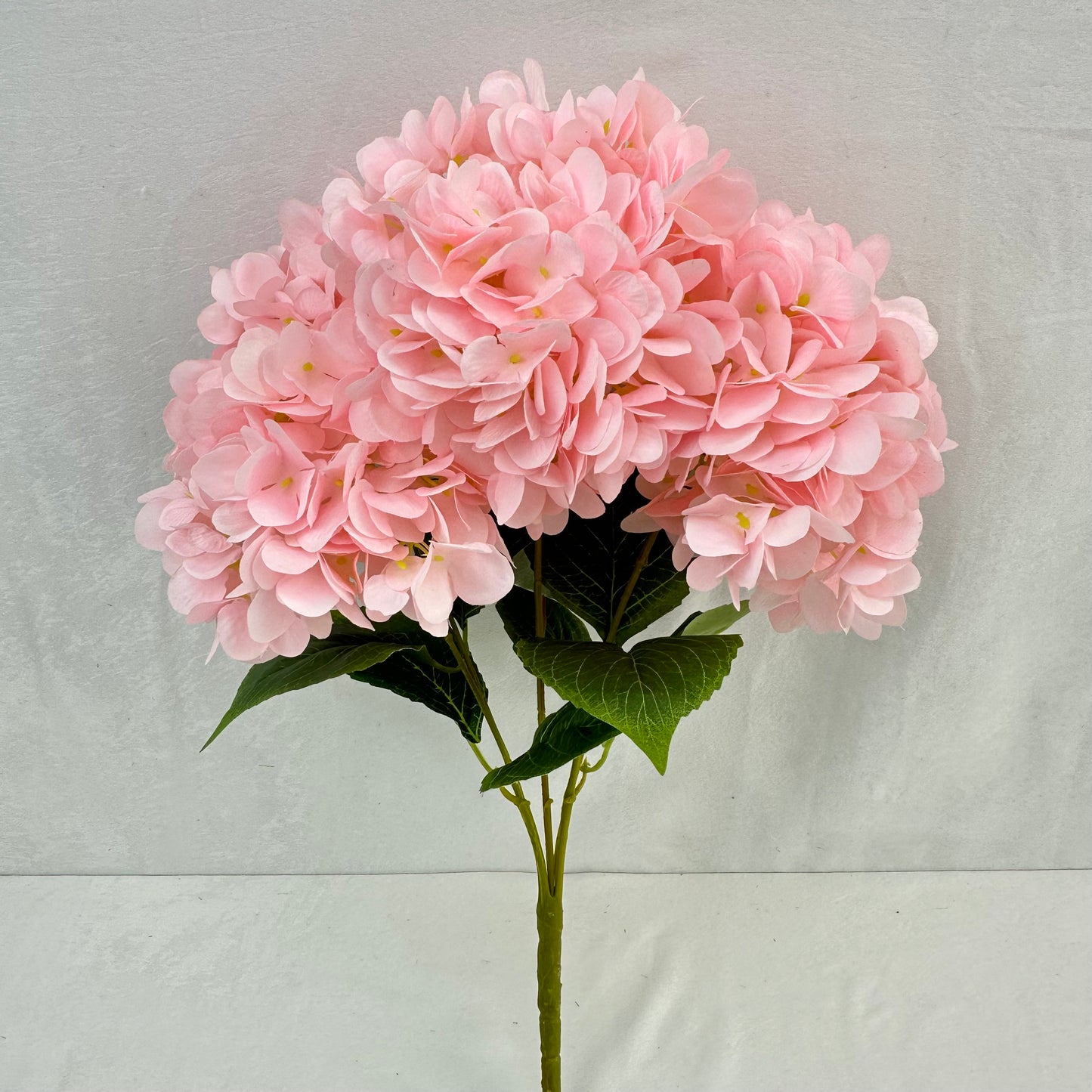 Pink Silk French Hydrangea Bush - 5 Heads