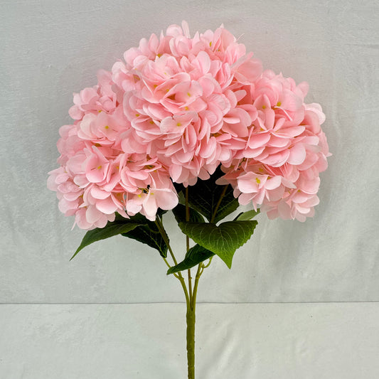 Pink Silk French Hydrangea Bush - 5 Heads