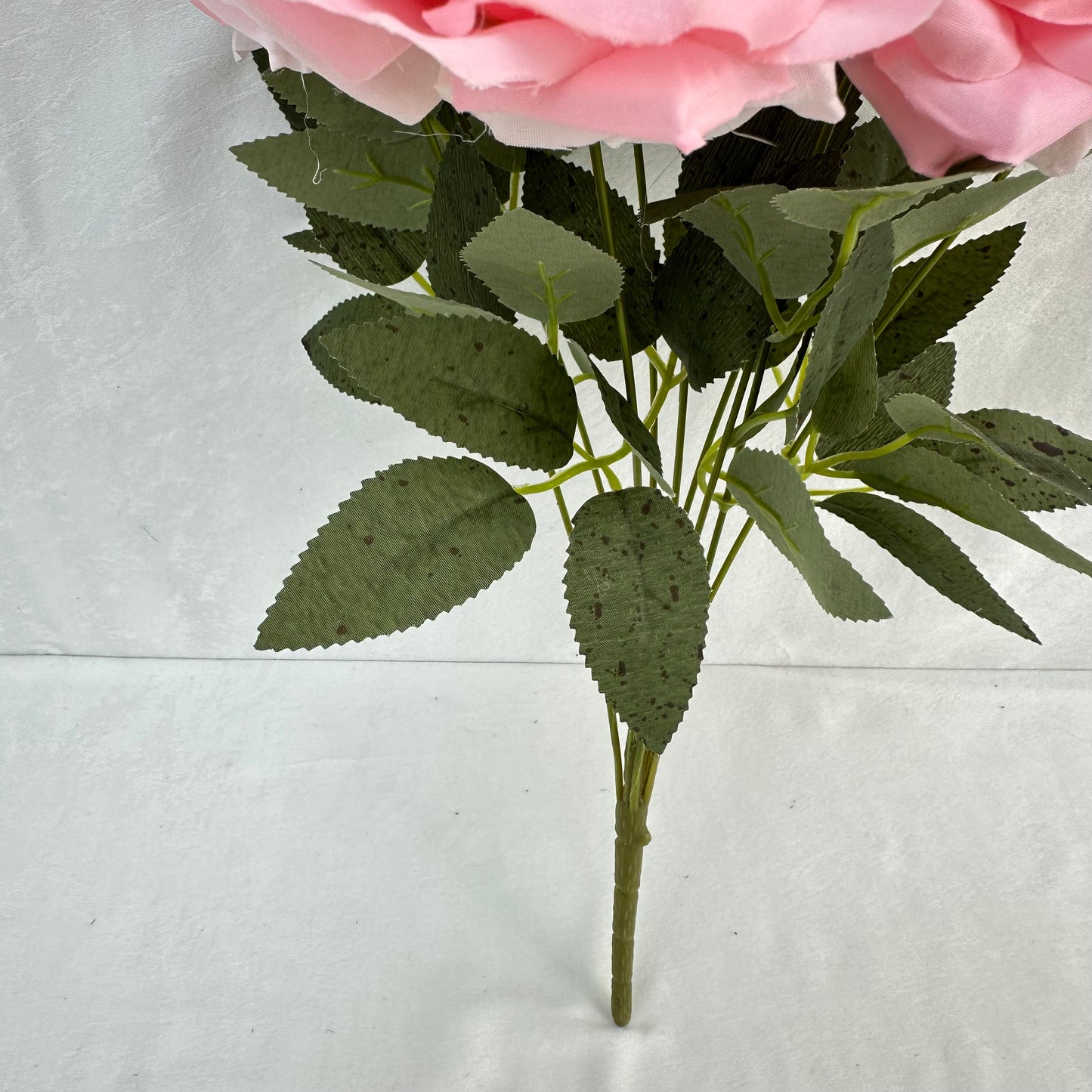 Pink Silk Diamond Rose Bush - 9 Heads