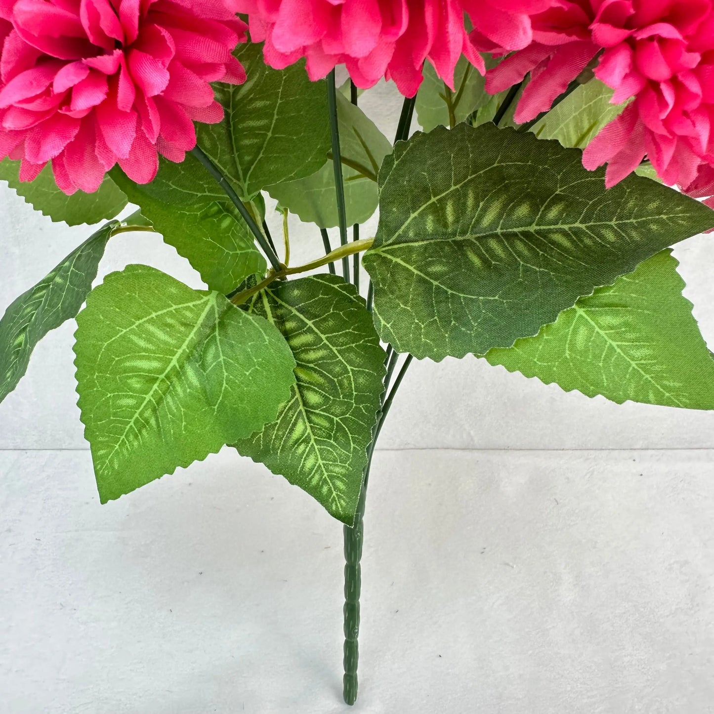Pink Silk Autumn Chrysanthemum Bush - 12 Heads RosesHQ.com