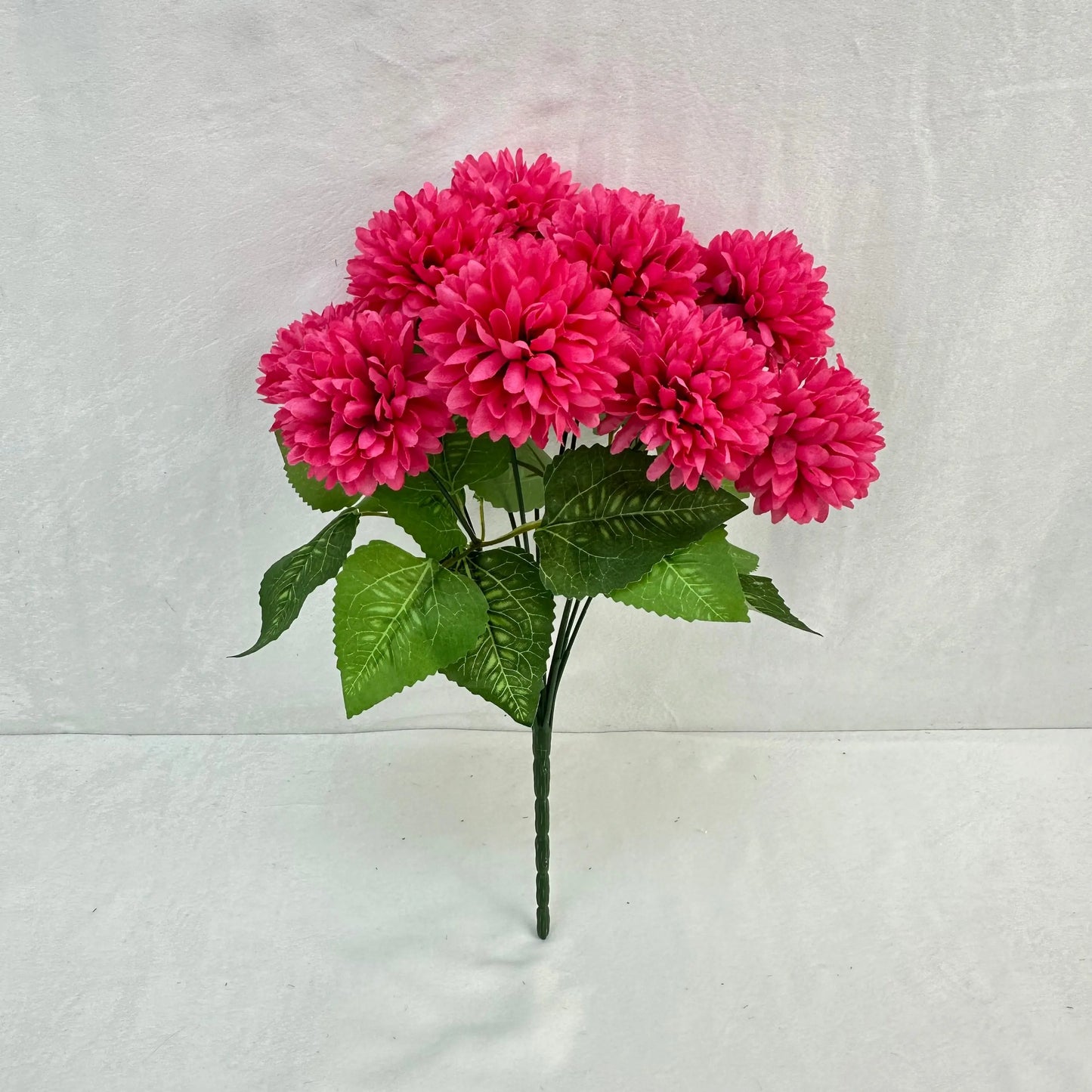 Pink Silk Autumn Chrysanthemum Bush - 12 Heads RosesHQ.com