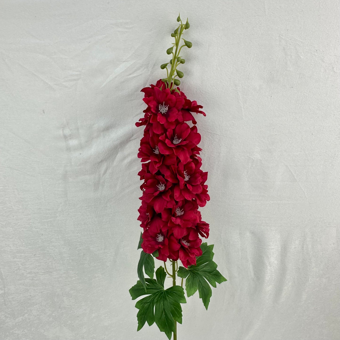 Red Silk Spring Larkspur Stem