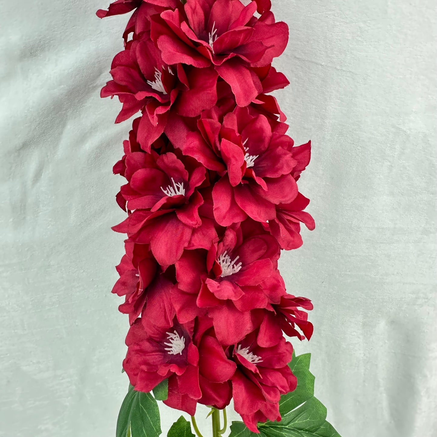 Red Silk Spring Larkspur Stem
