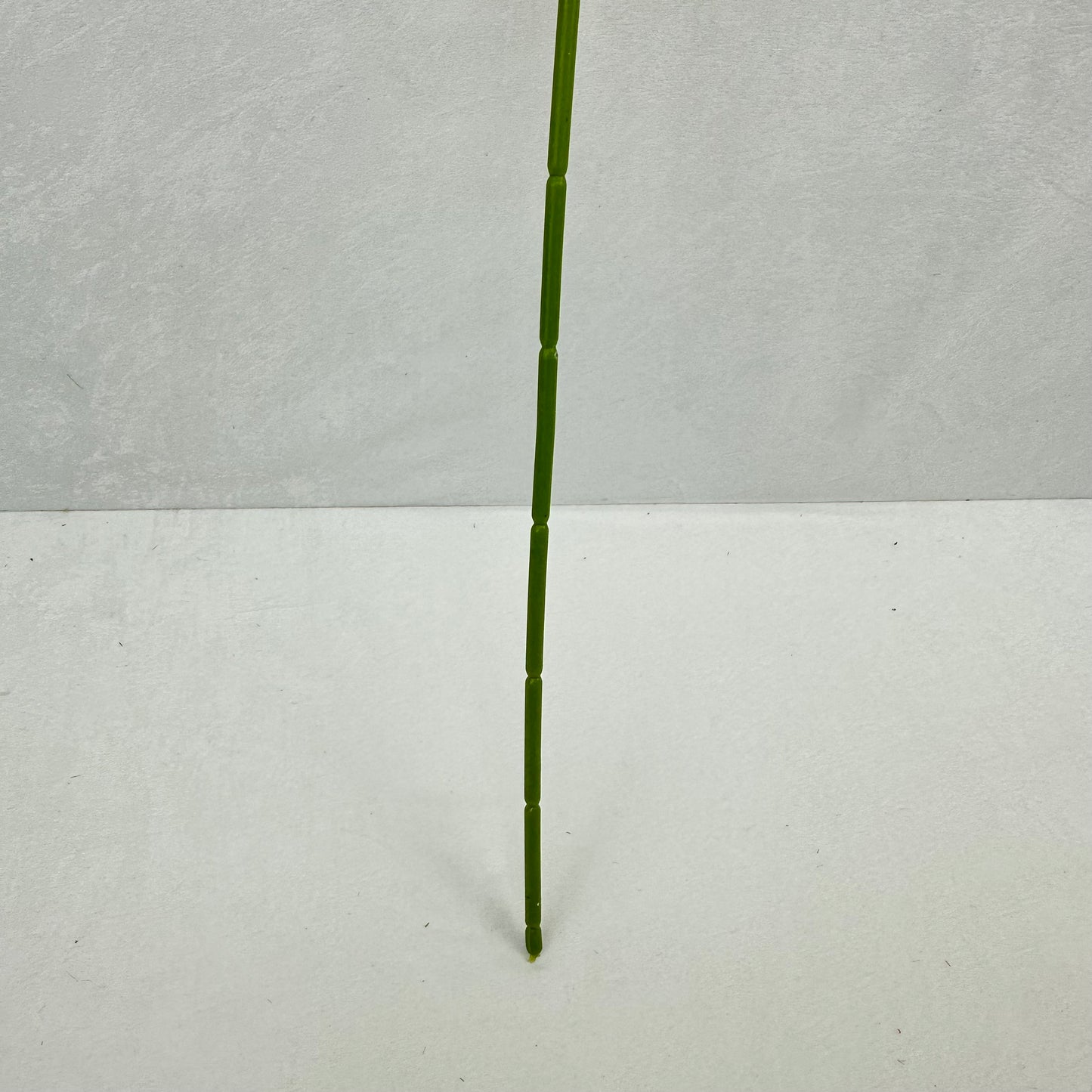 Red Real Touch Anthurium Stem