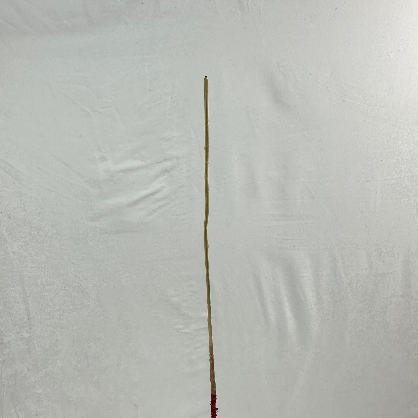 Red Silk Amaranthus Stem