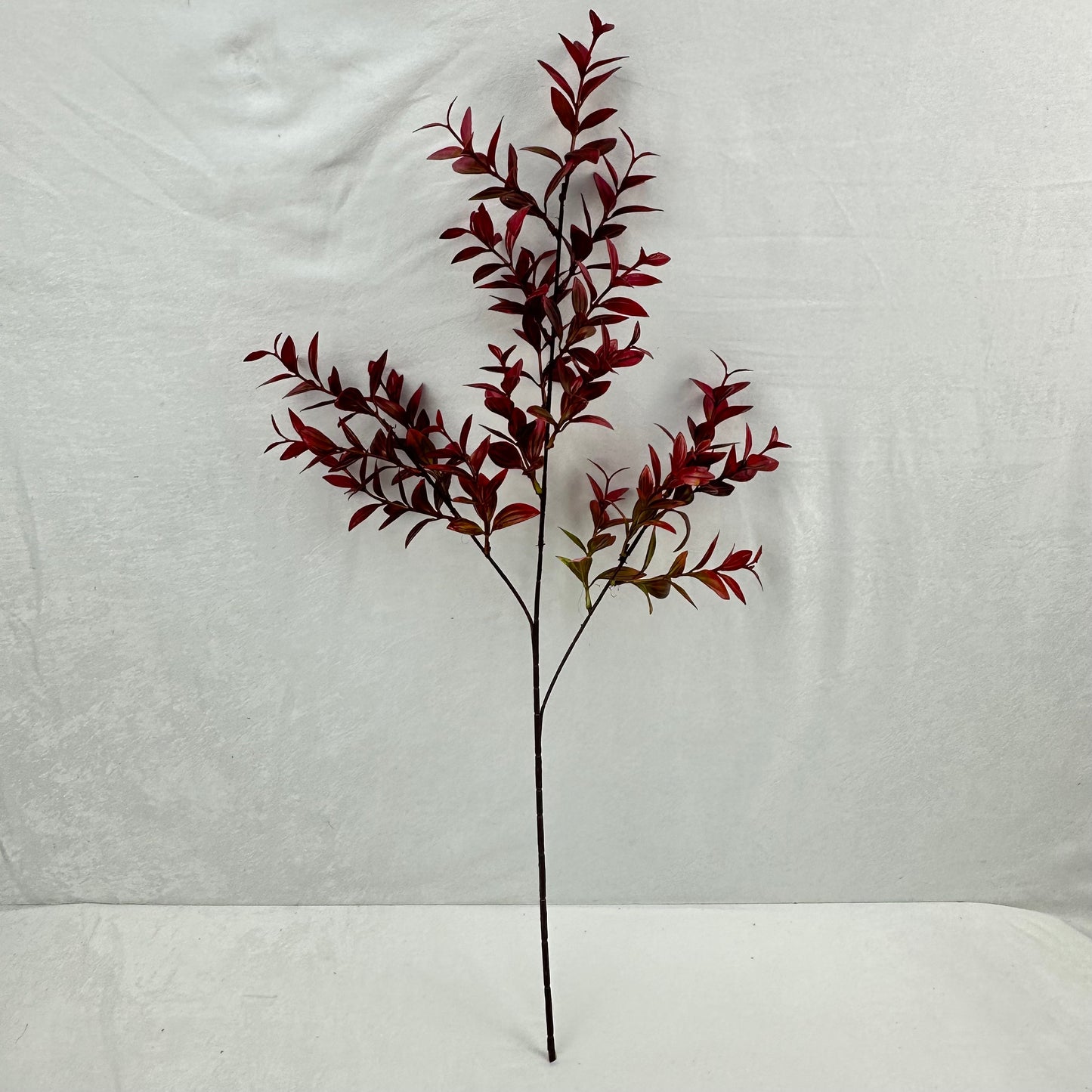 Red Sydney Vanilla Leaf Branch