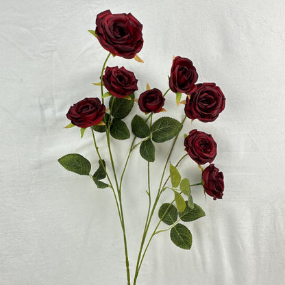 Red Silk Empress Rose Bush - 8 Heads