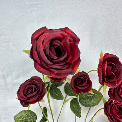 Red Silk Empress Rose Bush - 8 Heads