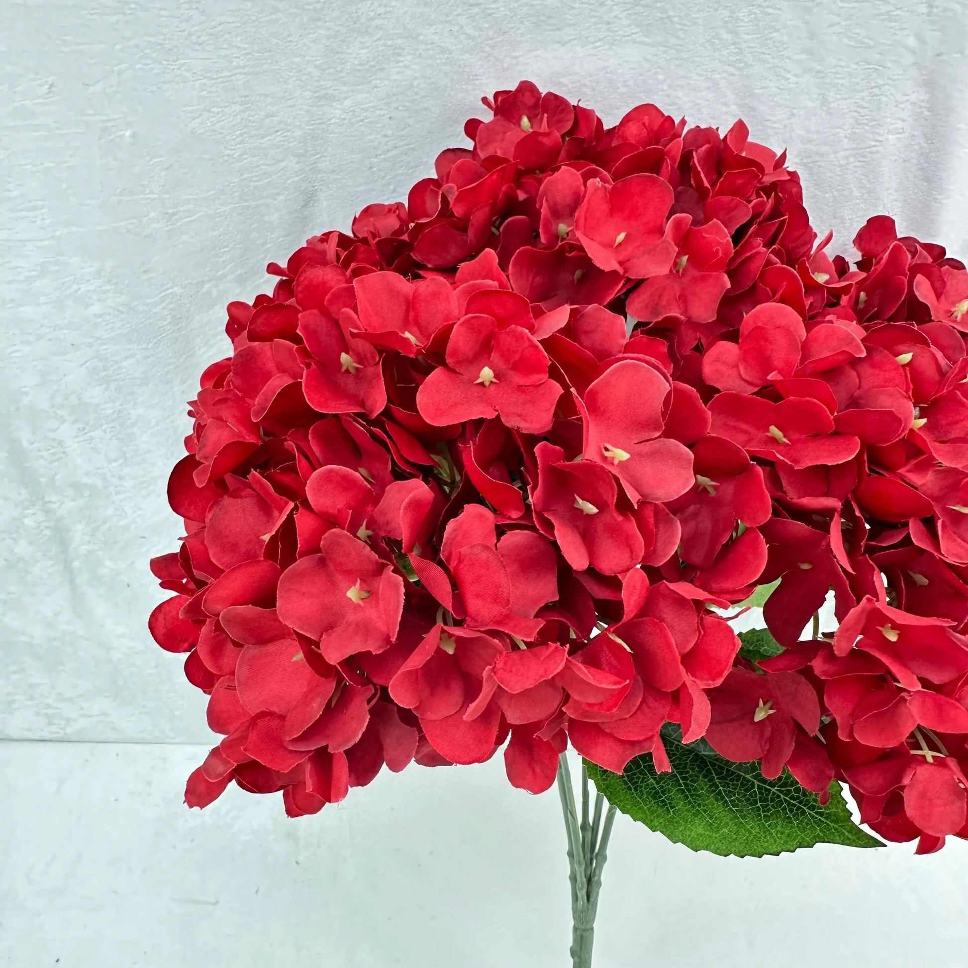 Red Silk French Hydrangea Bush - 5 Heads RosesHQ.com